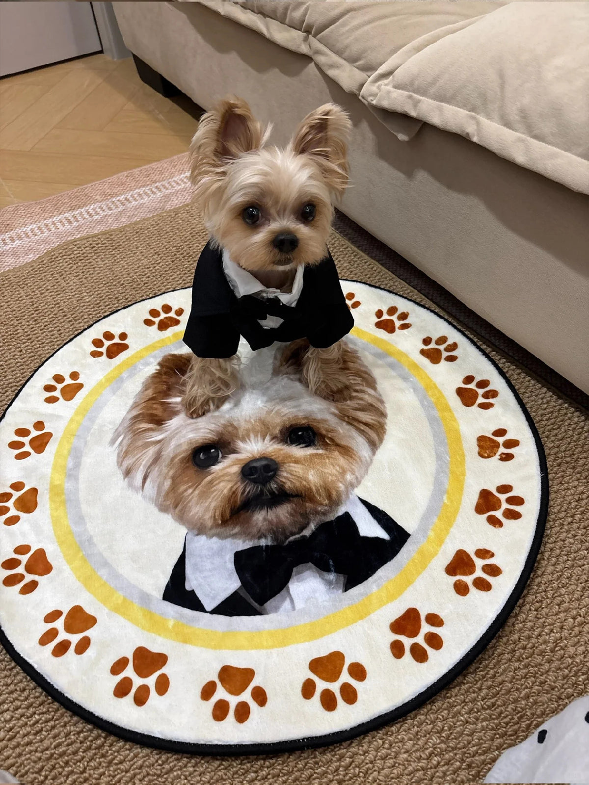 Home Series – Custom Pet Carpet